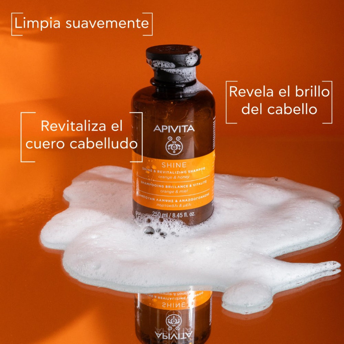 Shampoo Brillo & Vitalidad 250ml